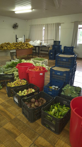 Assistência Social de Quedas do Iguaçu organiza ação que leva alimentação saud...