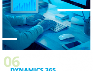 06-dynamics-365.png