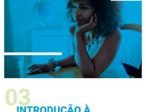 03-introducao-a-programacao.png